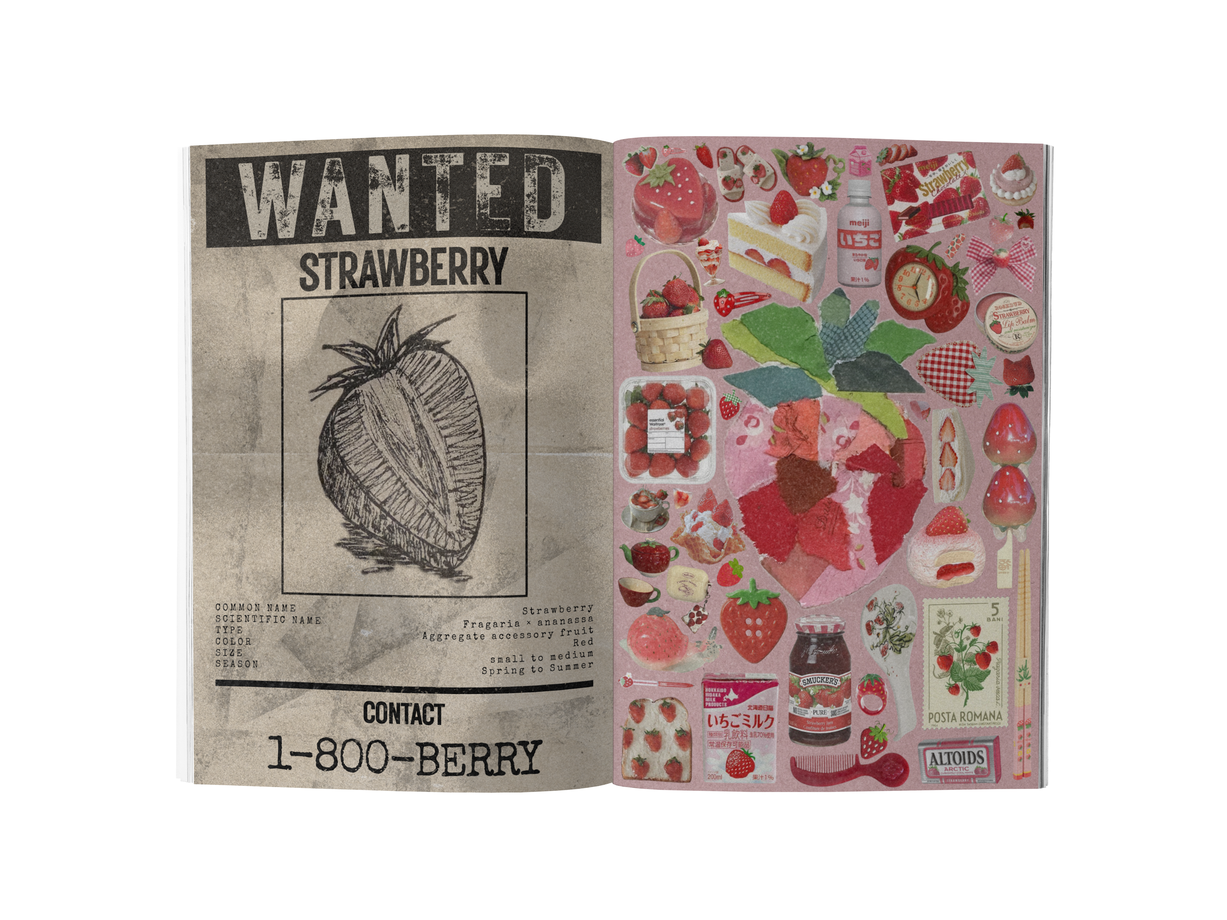 Strawberry Season, image 5 of 5